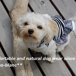 パンツ/サロペット