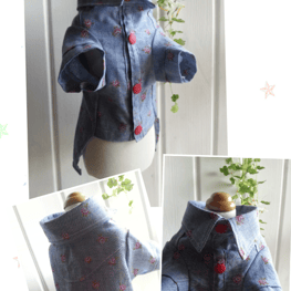 ラガーシャツ・ポロシャツ