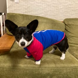 みんなのTシャツ