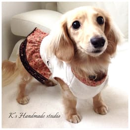 ラガーシャツ・ポロシャツ