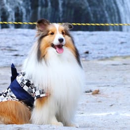 akaneiroさんの作品