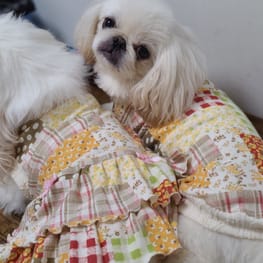 バルーンブラウス