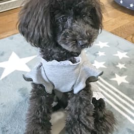 オーバーレインコート