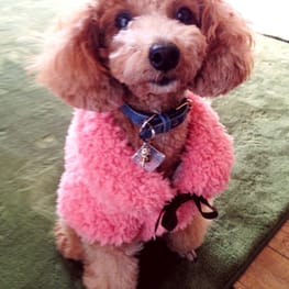 ラグランタンク・ラグランワンピ