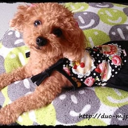 リボンワンピース