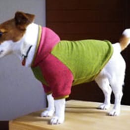 パーカー/トレーナー