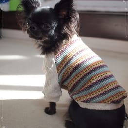 スモック/チュニック