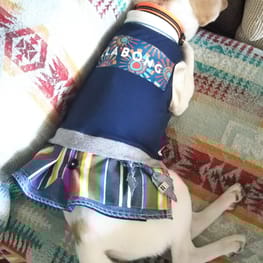 ベーシックラグランTシャツ