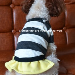 ベーシックラグランTシャツ