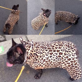 ラッフルスリーブトップス