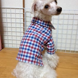 パーカー/トレーナー