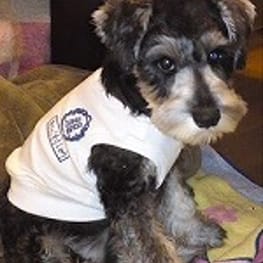 パーカー/トレーナー