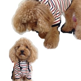 サニタリー・マナーパンツ