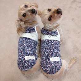 パンツ/サロペット