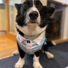 みんなのTシャツ