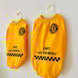 うさぎ/パンダ変身コスチューム