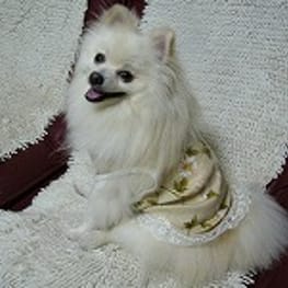 ダウンジャケット