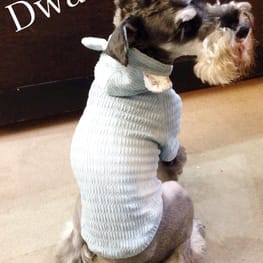 Dwarfさんの作品