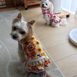 パーカー/トレーナー