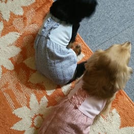 レーサーバック・バッククロスタンク