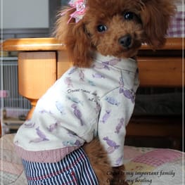 スカート/サロペット