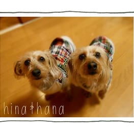 パーカー/トレーナー