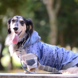 ラガーシャツ・ポロシャツ