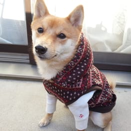 ハーネスウェア