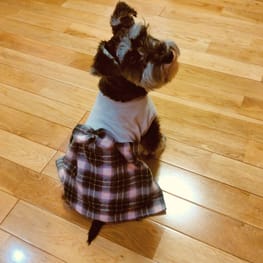 ダウンジャケット