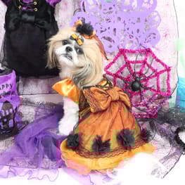 リラックスジャンプスーツ