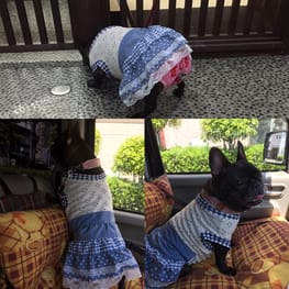 ラッフルスリーブトップス