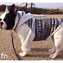 パーカー/トレーナー