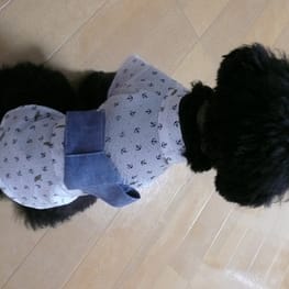 うさぎ/パンダ変身コスチューム