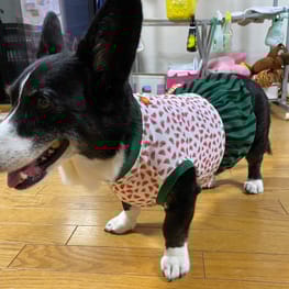 みんなのTシャツ