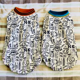 ベーシックラグランTシャツ