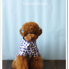 ダウンジャケット