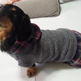 ベーシックタンクトップ&Tシャツ