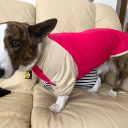 みんなのTシャツ