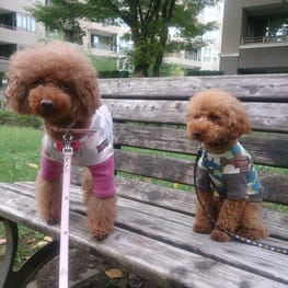 スカート/サロペット