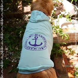 ベーシックラグランTシャツ