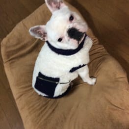 ベーシックラグランTシャツ