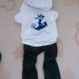 ラッフルスリーブトップス