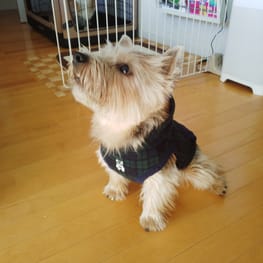 リボンワンピース