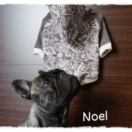 ダウンジャケット