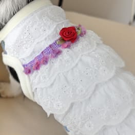 パーカー/トレーナー