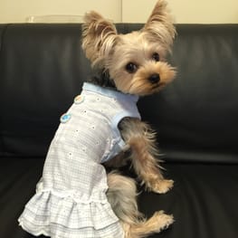 ベーシックタンクトップ&Tシャツ