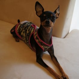 レーサーバック・バッククロスタンク