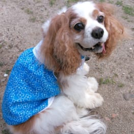 リボンワンピース