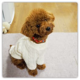 バルーンブラウス