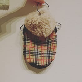 ダウンジャケット